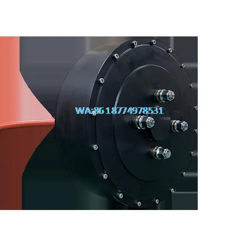 Motor de cubo de eje único Wmw - Qs Motor 273 8000W Hub Motor reseña y precio